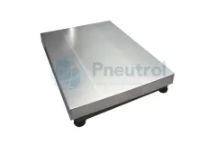 Platform Scales