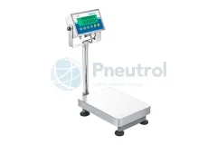Bench and Floor Scales